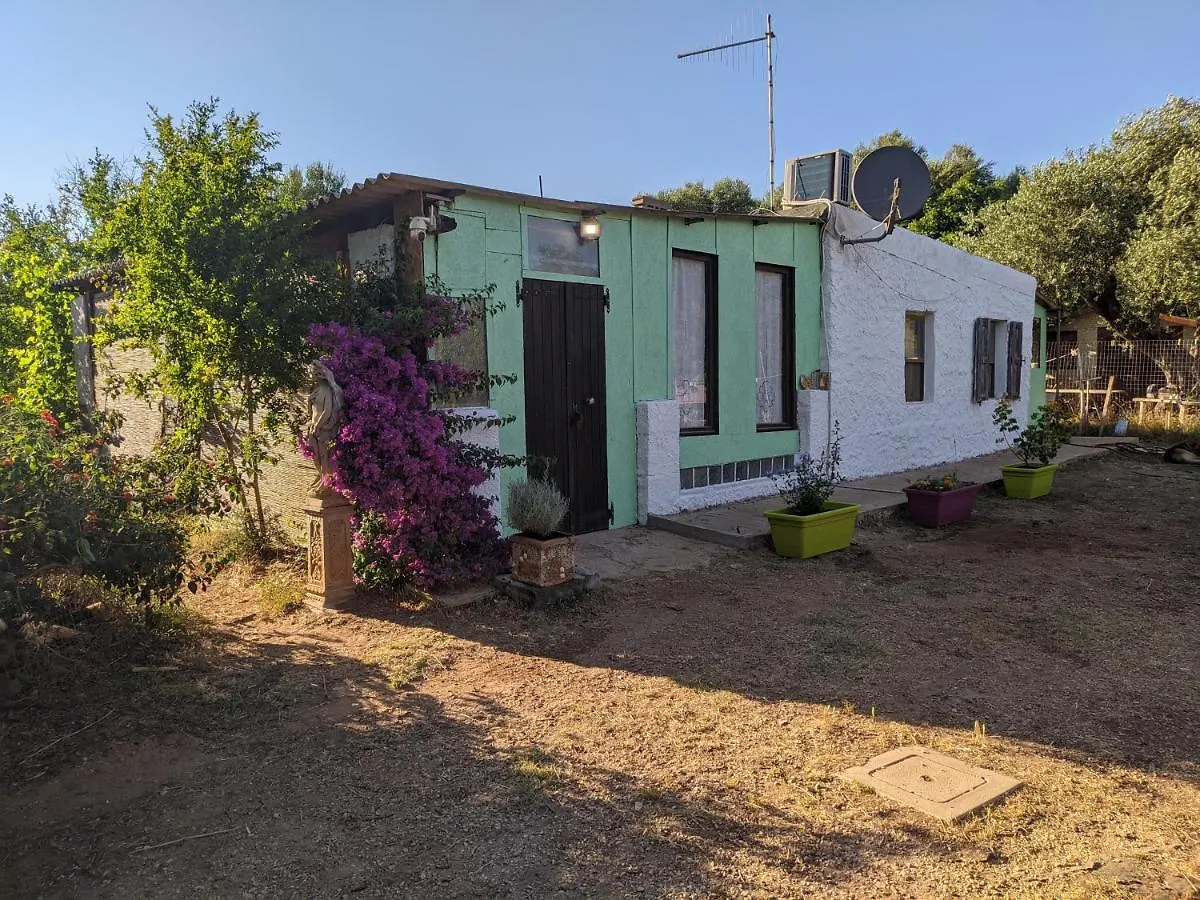 Casa Carlo Villa Alghero İtalya